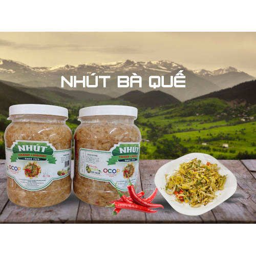 1.  Giới Thiệu Về Nhút Bà Quế